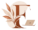 logo farsana